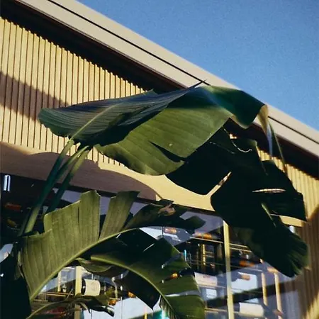 ホテル イノヴァ スルタンアフメット 4*