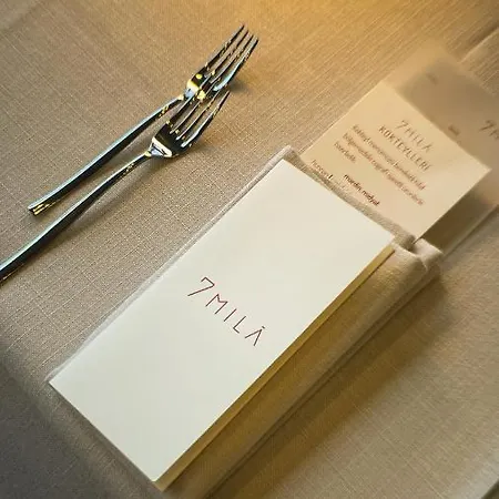 イノヴァ スルタンアフメット