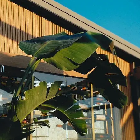 イノヴァ スルタンアフメット ホテル