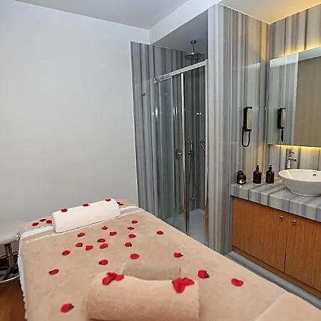 酒店 伊斯坦布尔阿美特苏丹英诺华酒店 伊斯坦布尔